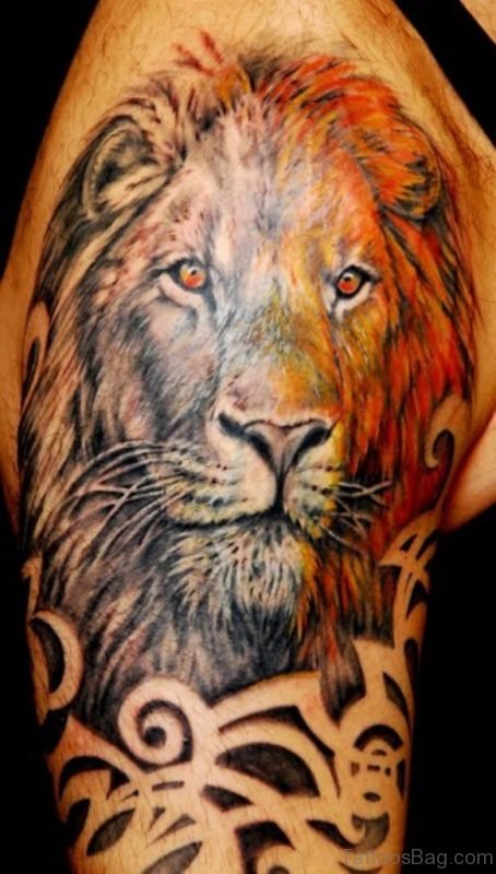 Lion Tattoo Design On Shoulder 