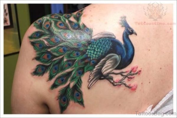 Lovely Peacock Tattoo On Shoulder