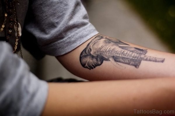 Marvelous Forearm Elephant Tattoo