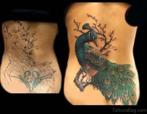 Marvelous Peacock Tattoo On Back