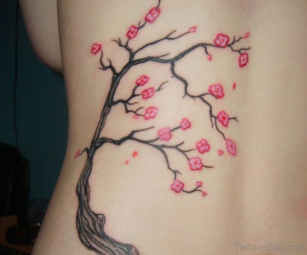 Nice Cherry Blossom Tree On Rib