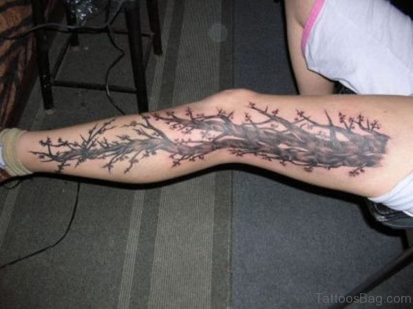 Nice Looking Tree Tattoo 