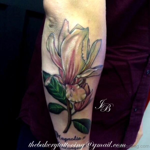 Nice Magnolia Tattoo On Arm 