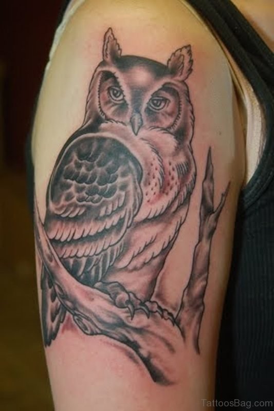Nice Owl Shoulder Tattoo