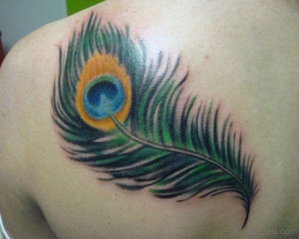 Nice Peacock Feather Tattoo On Shoulder
