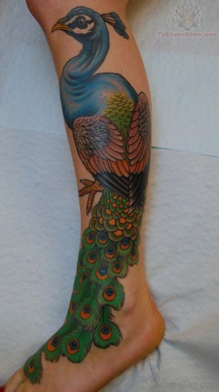 Nice Peacock Tattoo On Leg