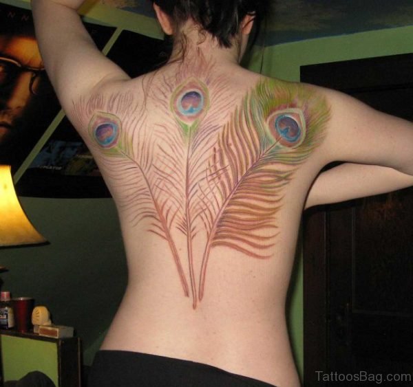 Nice Three Peacock Feather Tattoo