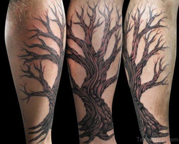 Nice Tree Tattoo 