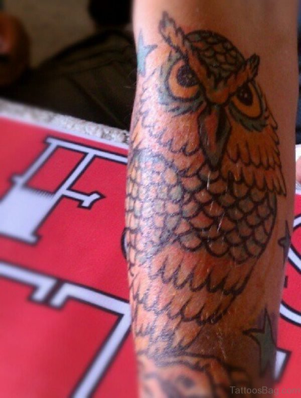 Owl Bird Tattoo Design On Arm 