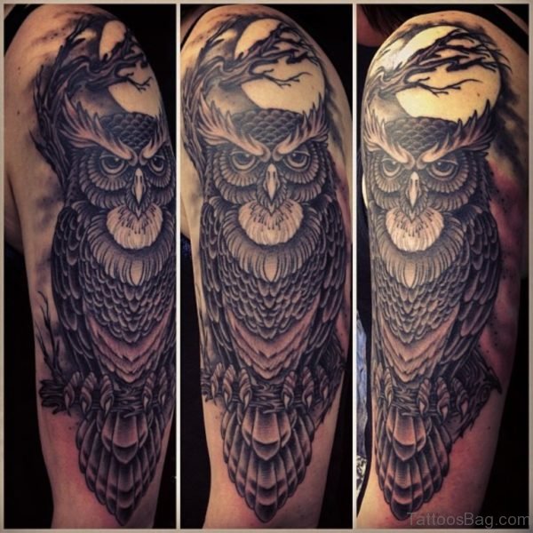 Owl Bird Tattoo 