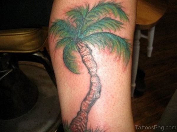 Palm Tree Tattoo On Leg 