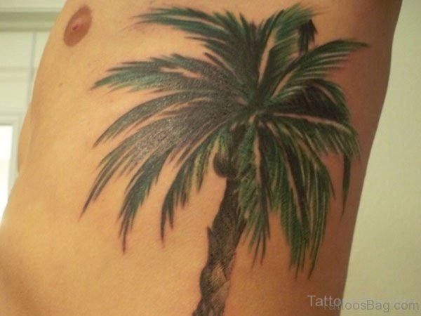 Palm Tree Tattoo On Rib Image