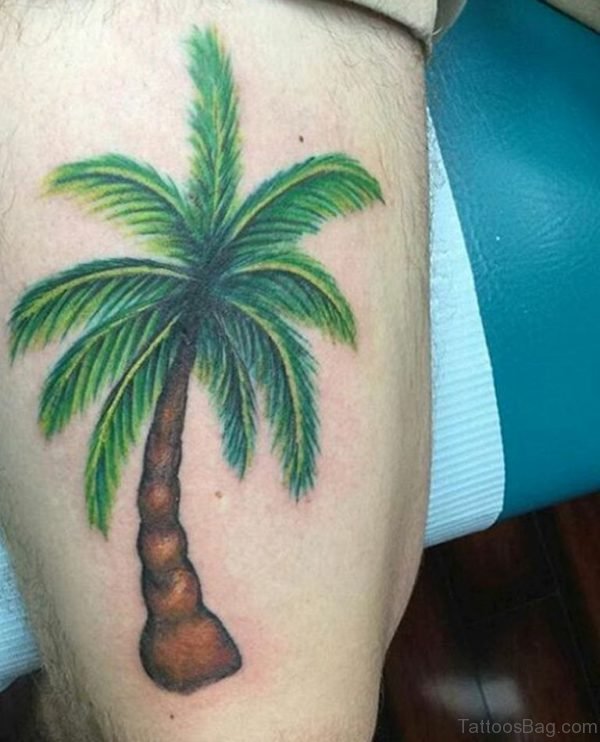 Palm Tree Tattoo On Right Thigh