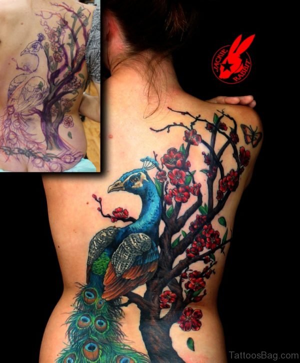 Peacock And Cherry Blossom tattoo On Back 