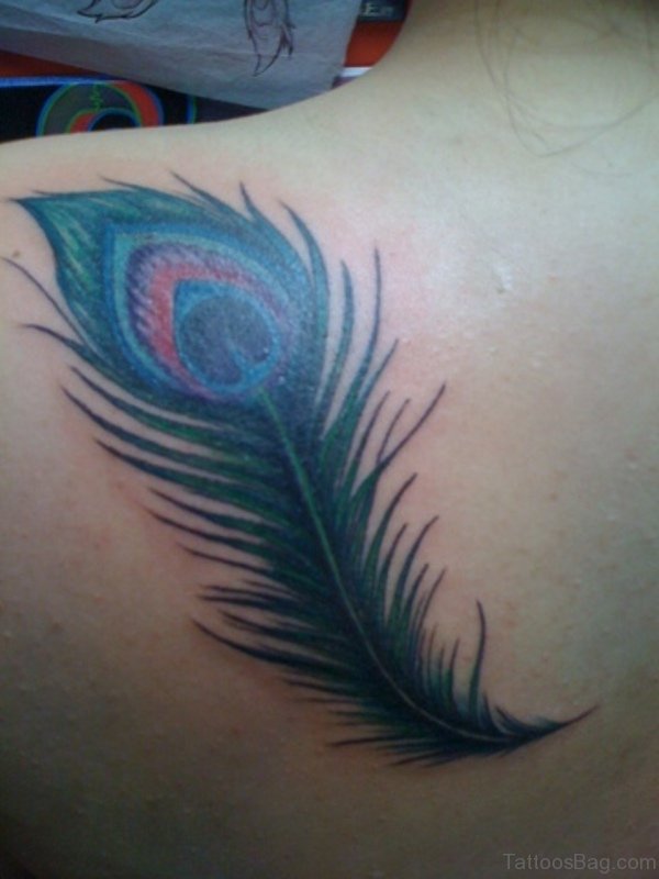 Peacock Feather Tattoo Design On Shoulder