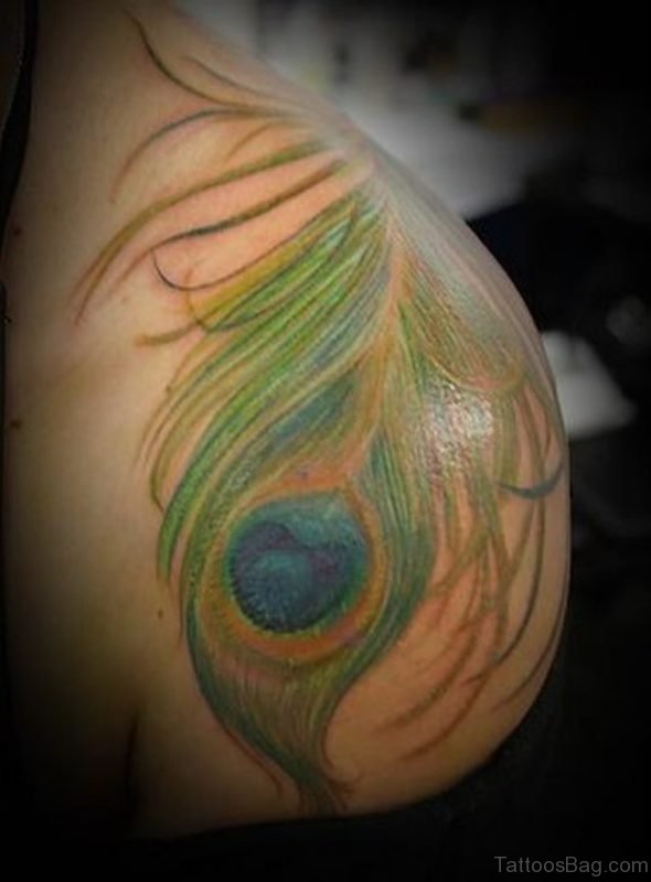 Peacock Feather Tattoo On Shoulder