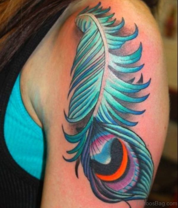 Peacock Feather Tattoo On Shoulder 