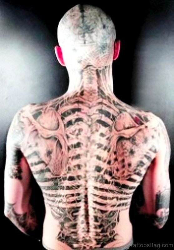 Pic Of Skeleton Tattoo On Back