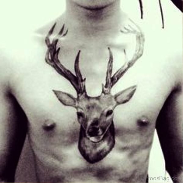 Picture Of Buck Tattoo On Chest