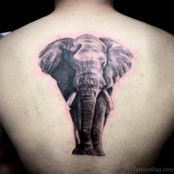 Realistic Elephant Tattoo On Back