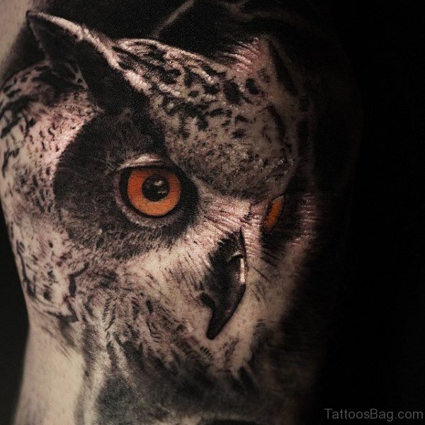 Realistic Owl Tattoo On Shoulder