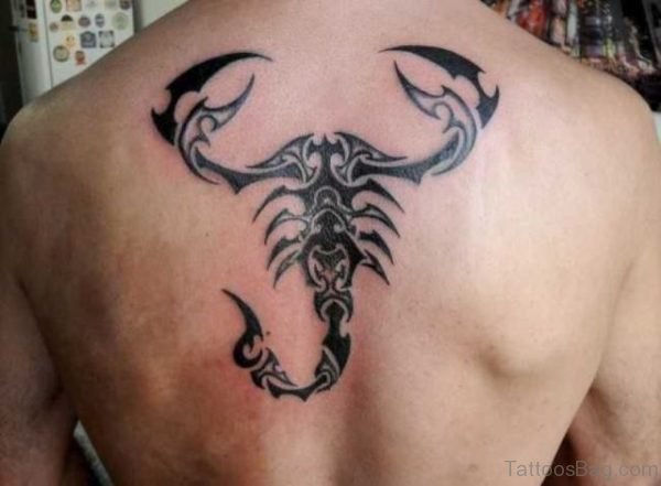 Scorpion Tattoo On Back 