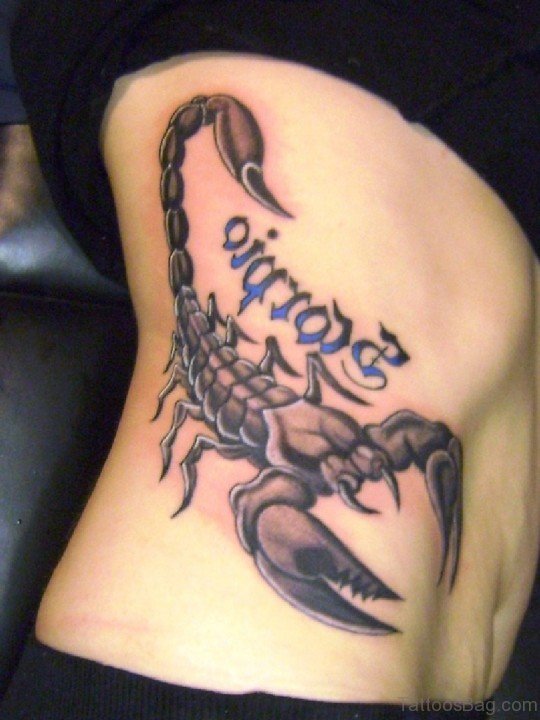 Scorpion Tattoo On Rib
