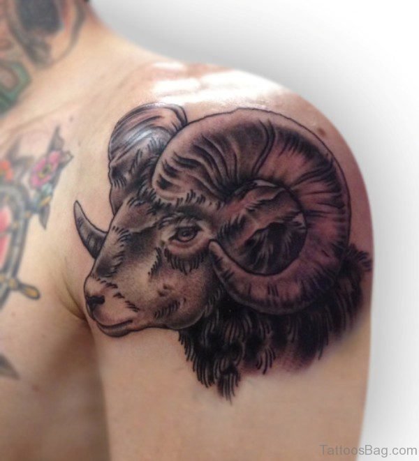 Sheep Shoulder Tattoo