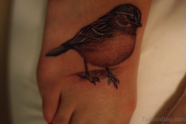 Sparrow Tattoo Design