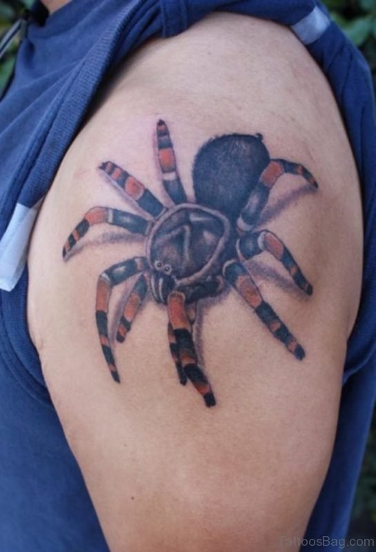 Spider Web Tattoo Design On Shoulder