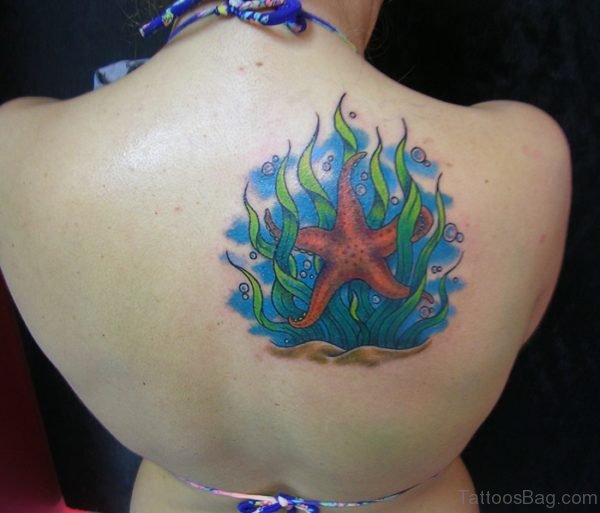 Starfish Tattoo Design 