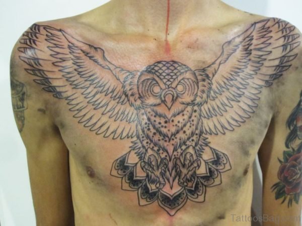 Stunning Owl Tattoo