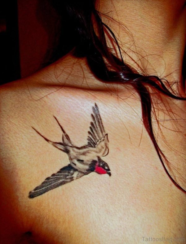 Swallow Tattoo Design 