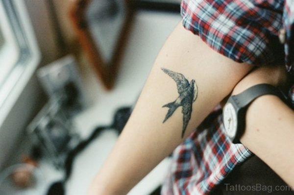 Swallow Tattoo On Arm 