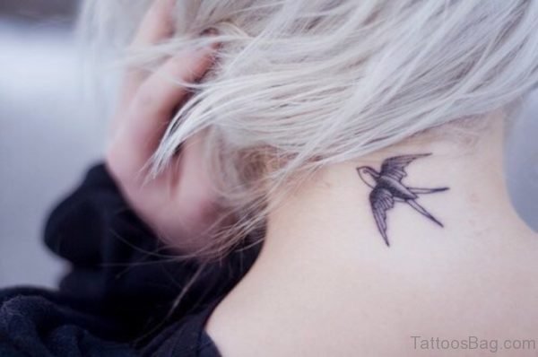 Swallow Tattoo design On Nape 