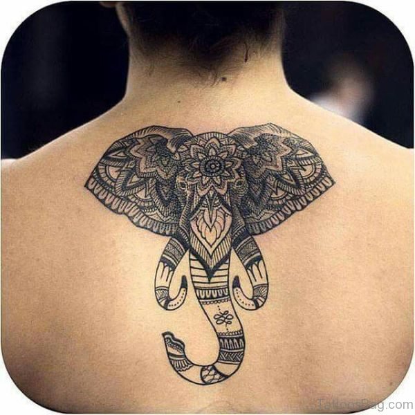 Sweet Elephant Tattoo On Back