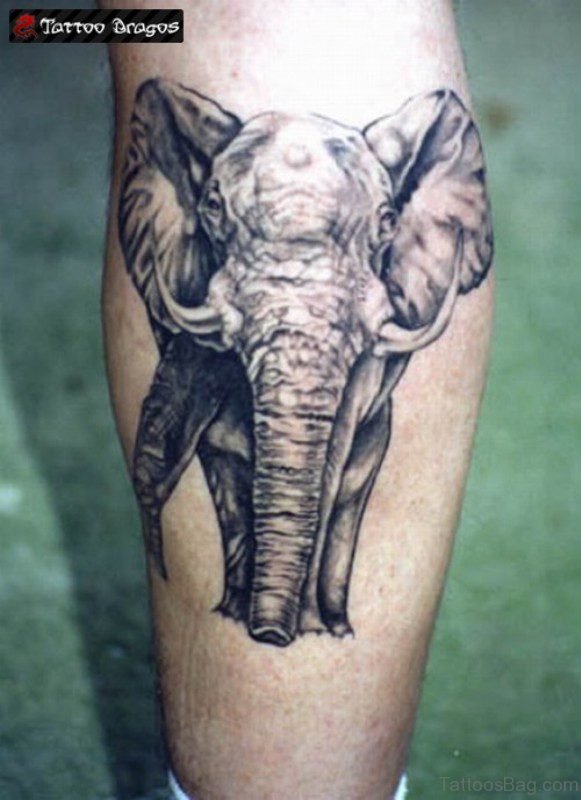 Sweet Elephant Tattoo On Leg