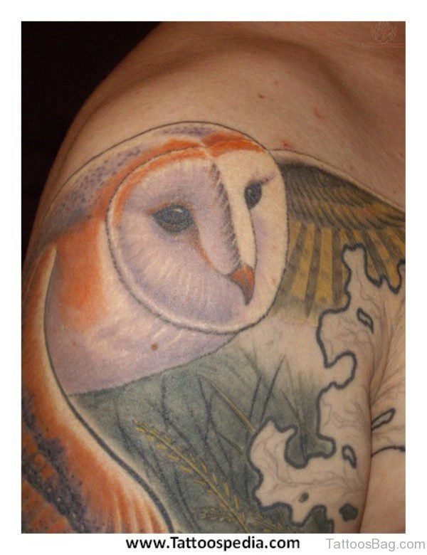 Sweet Owl Tattoo On Men Shoulder