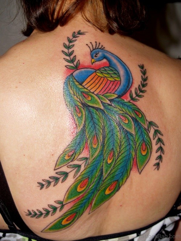 Sweet Peacock Tattoo On Back