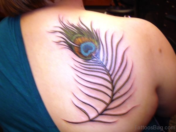 Tribal Peacock Feather Tattoo On Back Shoulder
