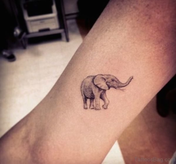 Unique Elephant Tattoo On Forearm