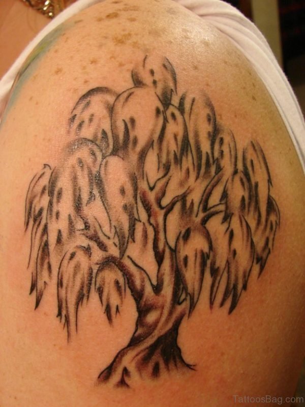 Willow Tree Tattoo On Shoulder 