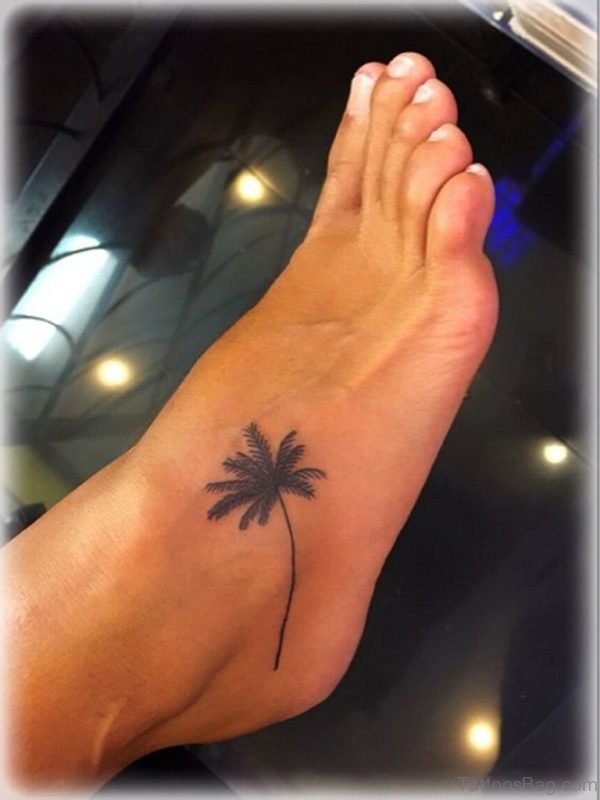 Wonderful Palm Tree Tattoo