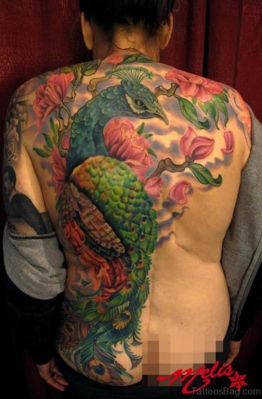 Wonderful Peacock Back Tatoo