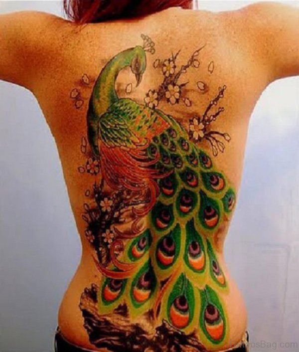 Wonderful Peacock Tattoo On Back