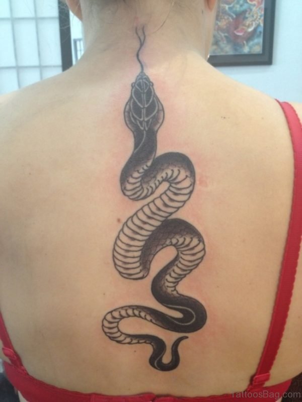 Wonderful Snake Tattoo On Back