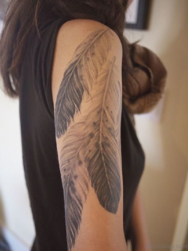 Feather tattoo Image