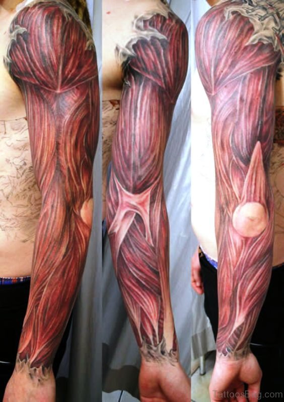 Best Anatomical Tattoo On Shoulder