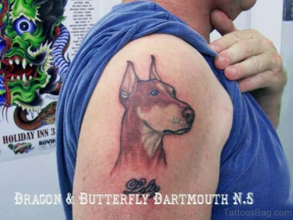 Brown Dog Tattoo On Shoulder