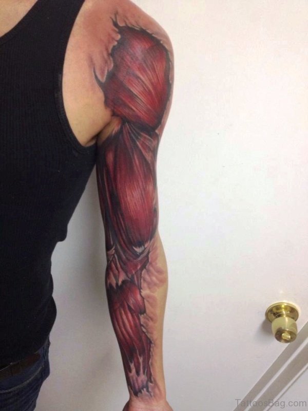 Excellent Anatomical Shoulder And Arm Tattoo